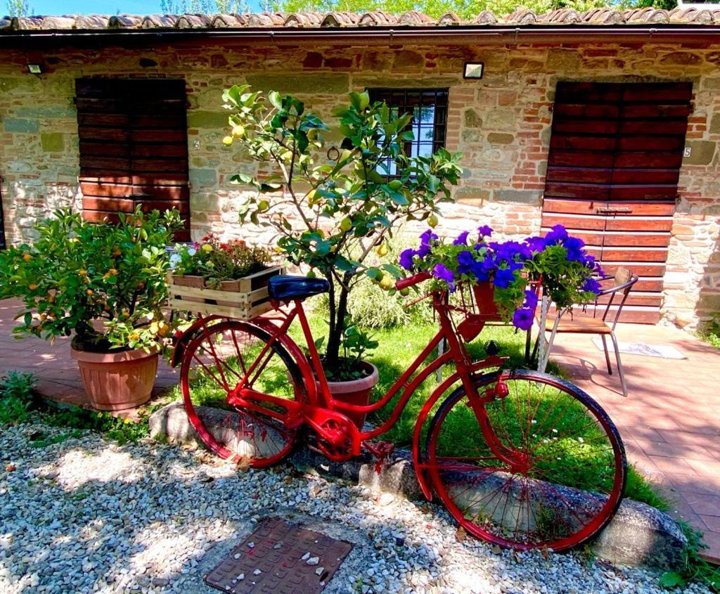 Agriturismo Stazione Di Monta Виккьо Экстерьер фото
