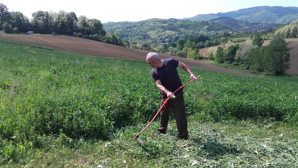 Agriturismo Stazione Di Monta Виккьо Экстерьер фото