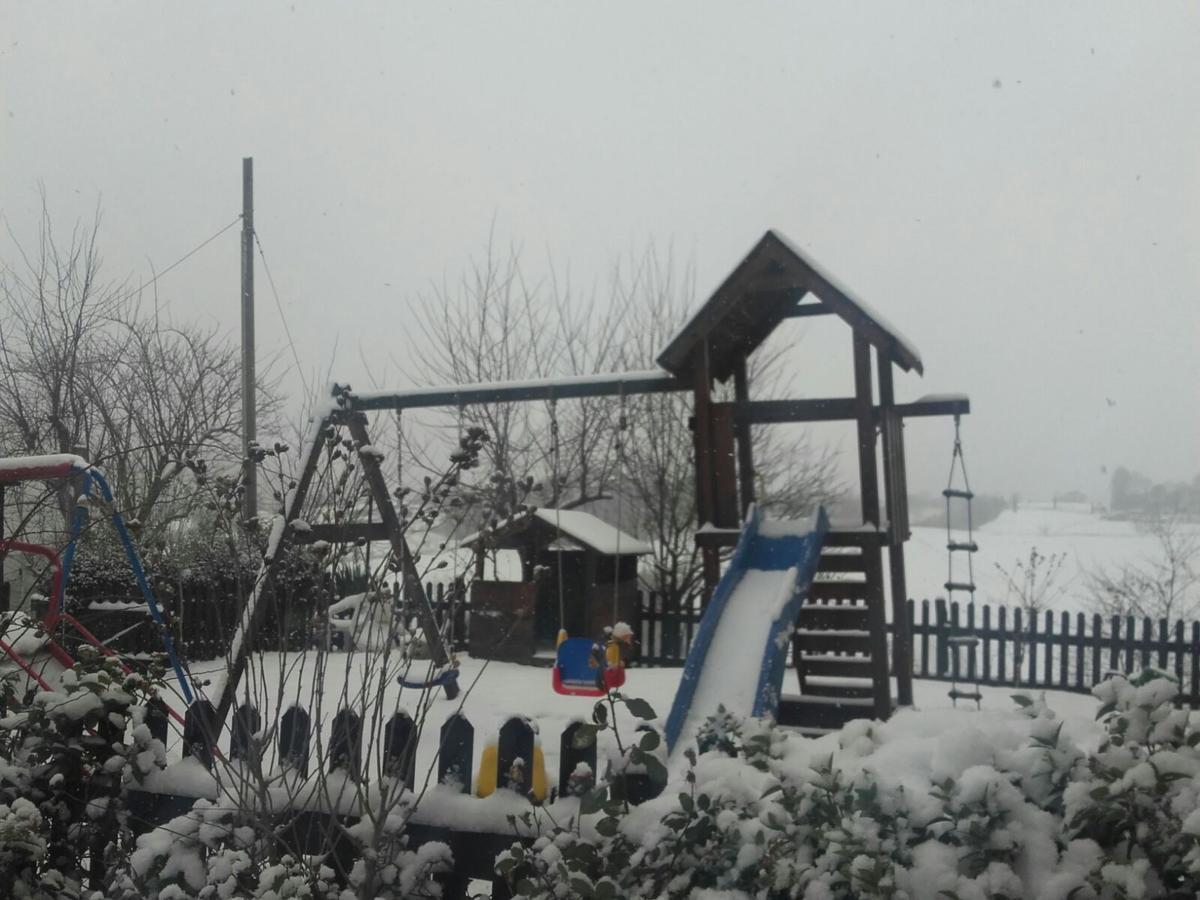 Agriturismo Stazione Di Monta Виккьо Экстерьер фото