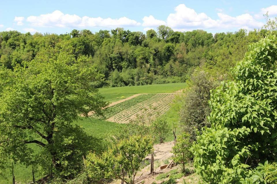 Вилла Agriturismo Stazione Di Monta Виккьо Экстерьер фото